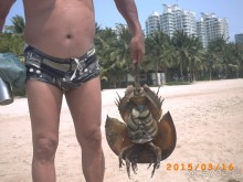 фото Sanya Tiantian Fast