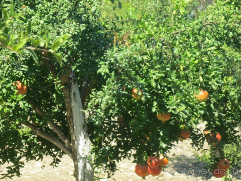 Отель скромный,чистый и с позитивным обслуживающим персоналом