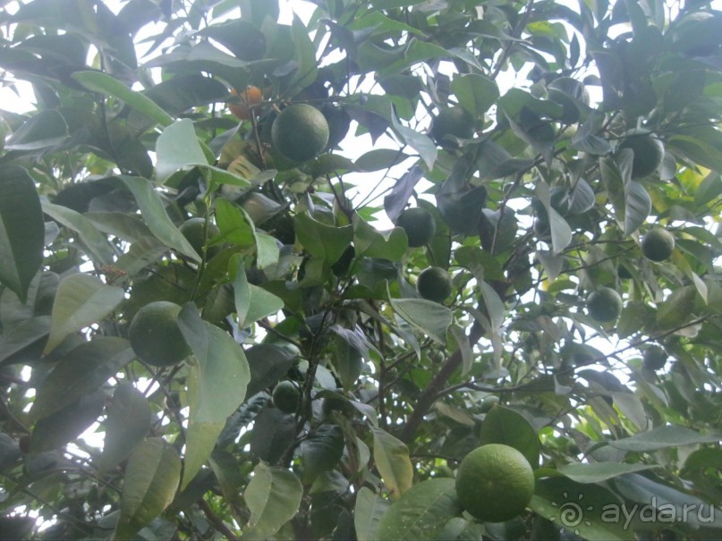 Отель скромный,чистый и с позитивным обслуживающим персоналом