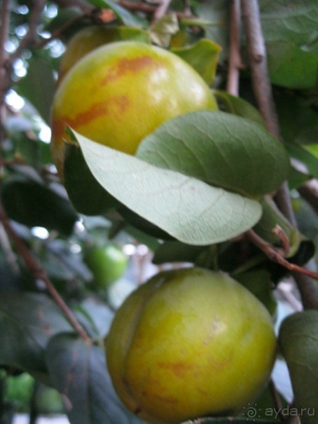 Отель скромный,чистый и с позитивным обслуживающим персоналом