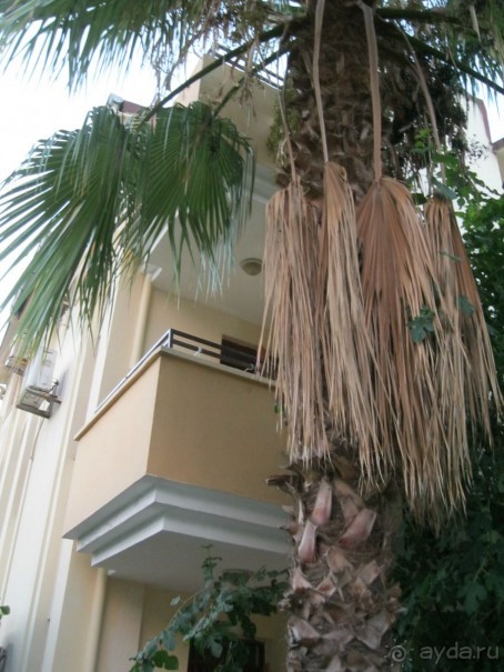 Отель скромный,чистый и с позитивным обслуживающим персоналом