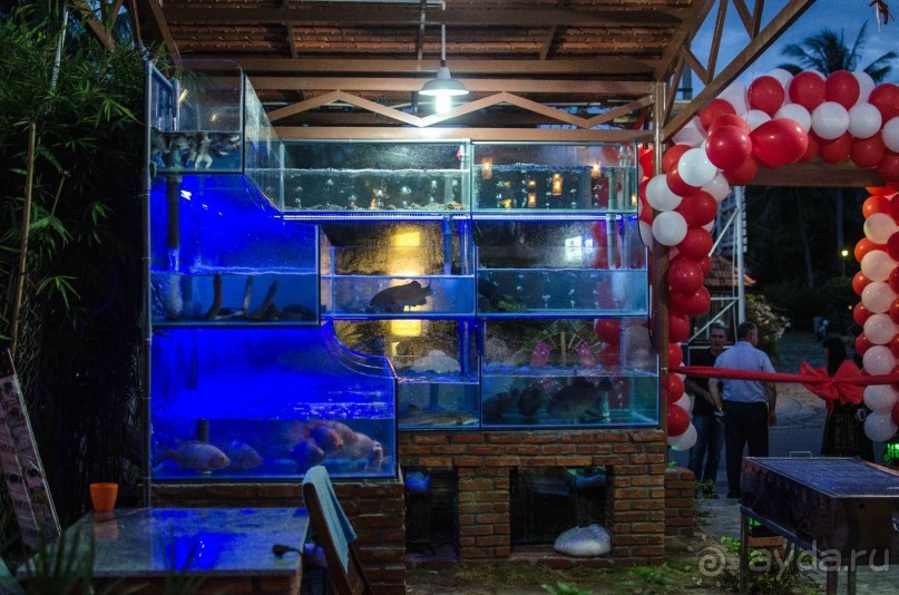 Открытие Ресторана