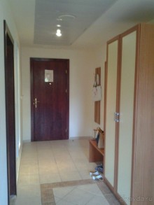 фото Голден Явор