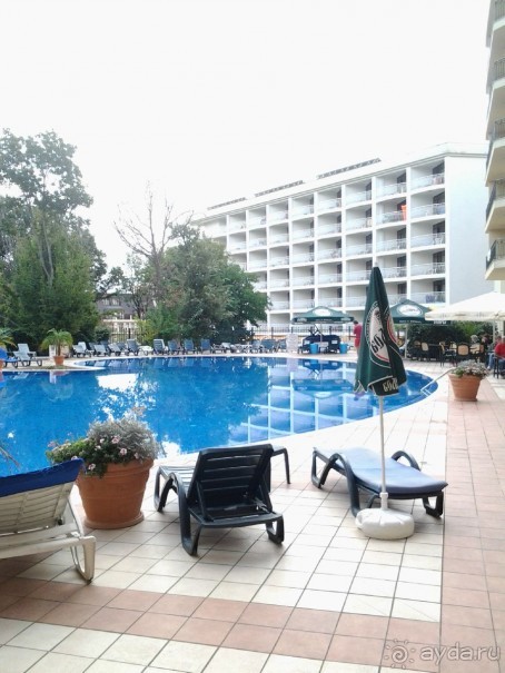 "Золотая сказка"