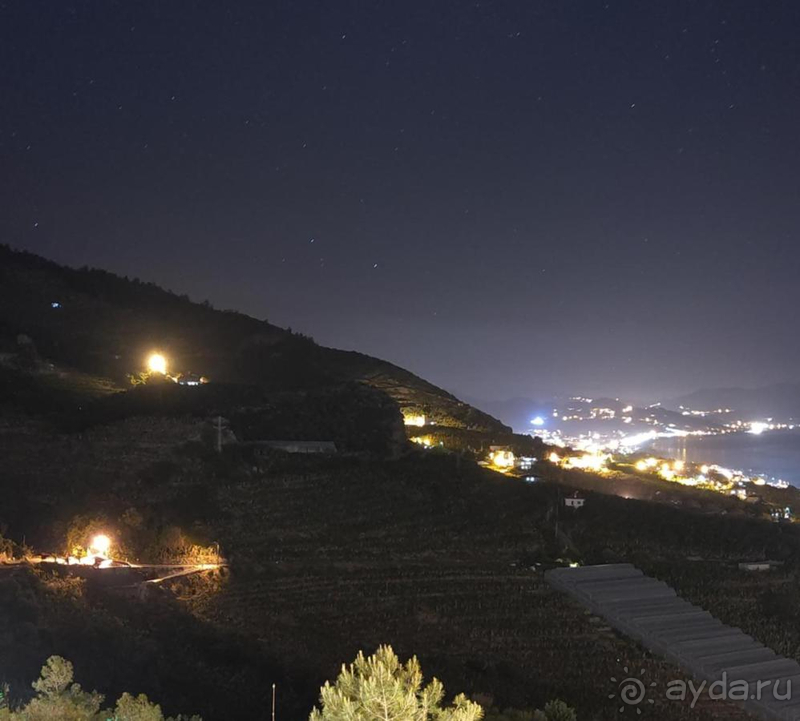 Мне приснился сон...