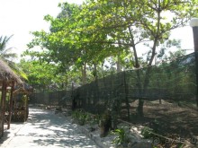 Все хорошо. Но с нюансами