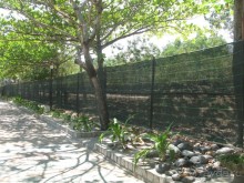 Все хорошо. Но с нюансами