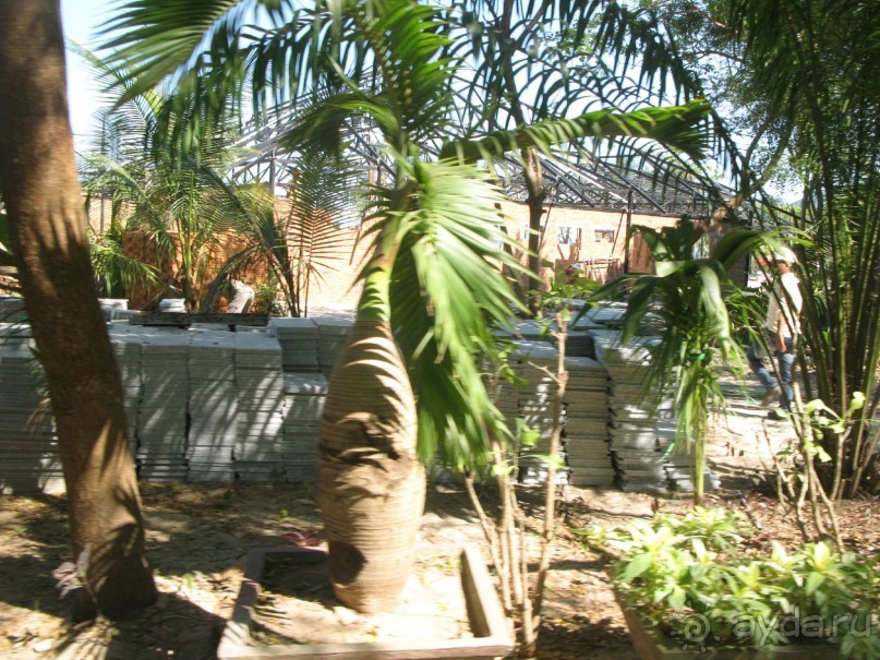 Все хорошо. Но с нюансами