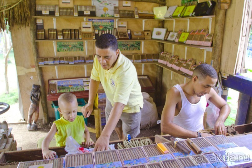 Незабываемый отдых в Доминикане!