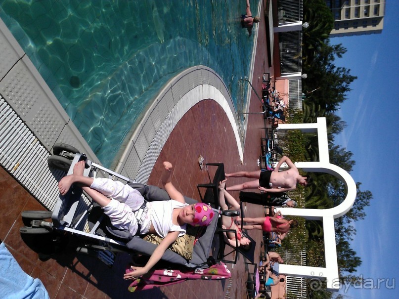 сказочная страна.....самшитка