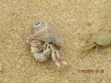 хороший отель