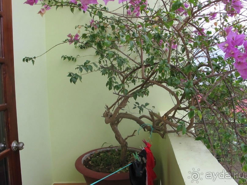 фото Hawaii Resort Phu Quoc (ex. Thien Hai Son)
