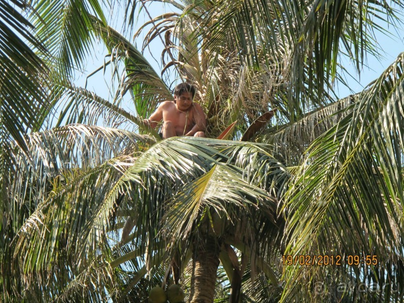 фото Hawaii Resort Phu Quoc (ex. Thien Hai Son)