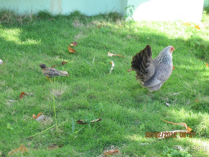 хороший отель