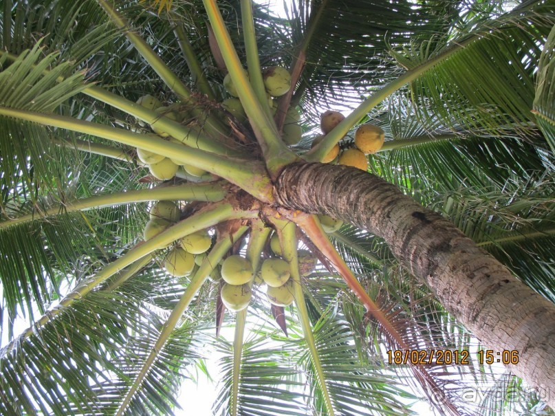 хороший отель