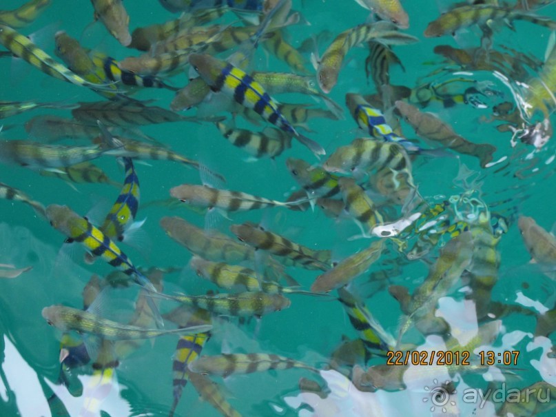 хороший отель