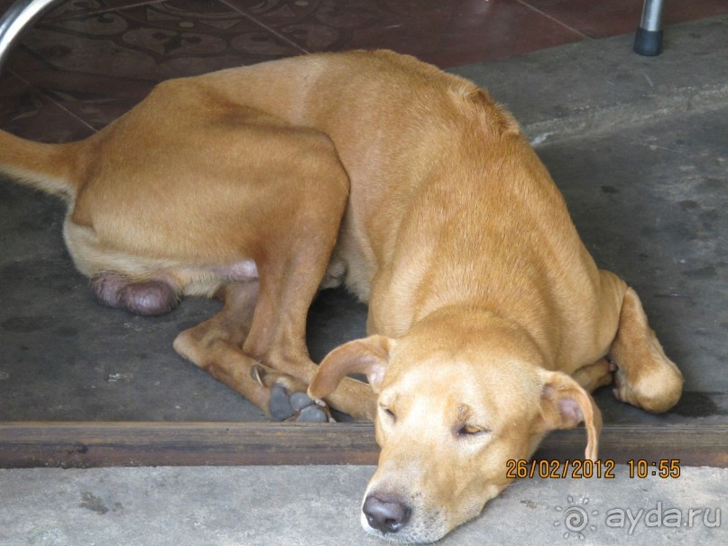 хороший отель