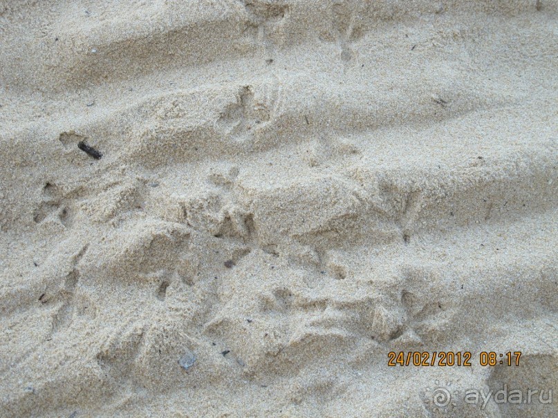 хороший отель