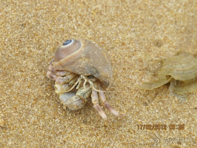 хороший отель хороший отель