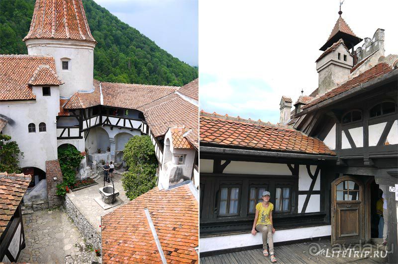 В поисках графа Дракулы