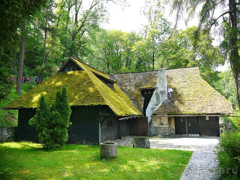 В поисках графа Дракулы