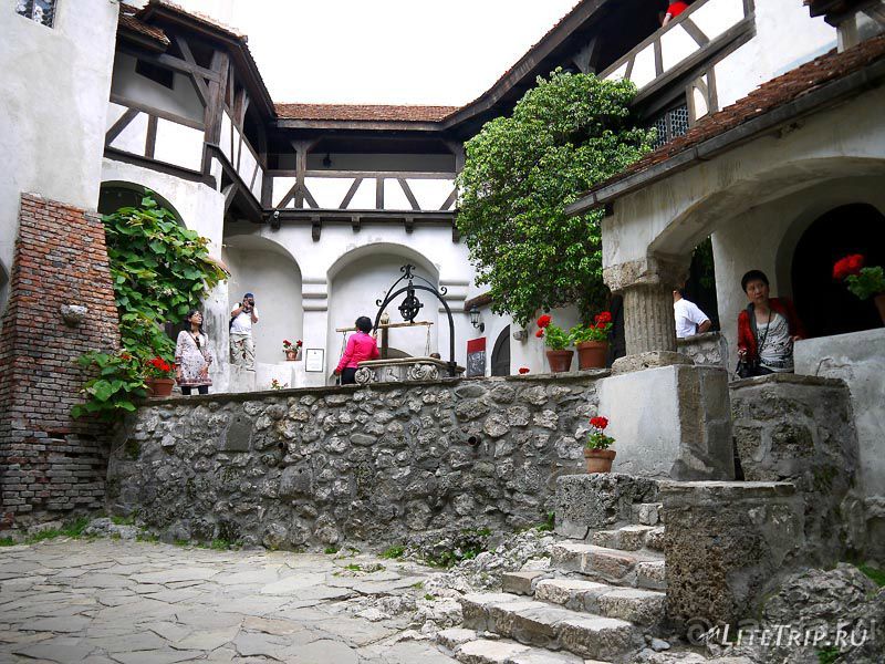 В поисках графа Дракулы