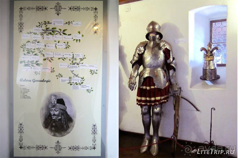 В поисках графа Дракулы