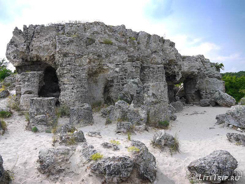 Окаменелые деревья недалеко от Варны.