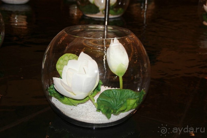 Гонконг-Макао-Гонконг. Часть вторая.