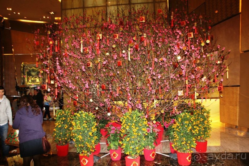 Гонконг-Макао-Гонконг. Часть вторая.