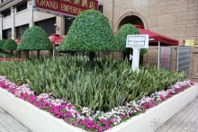 Гонконг-Макао-Гонконг. Часть третья.