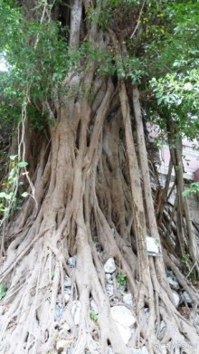 Гонконг-Макао-Гонконг. Часть третья.