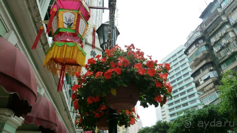 Гонконг-Макао-Гонконг. Часть третья.