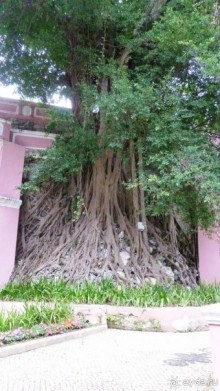 Гонконг-Макао-Гонконг. Часть третья.