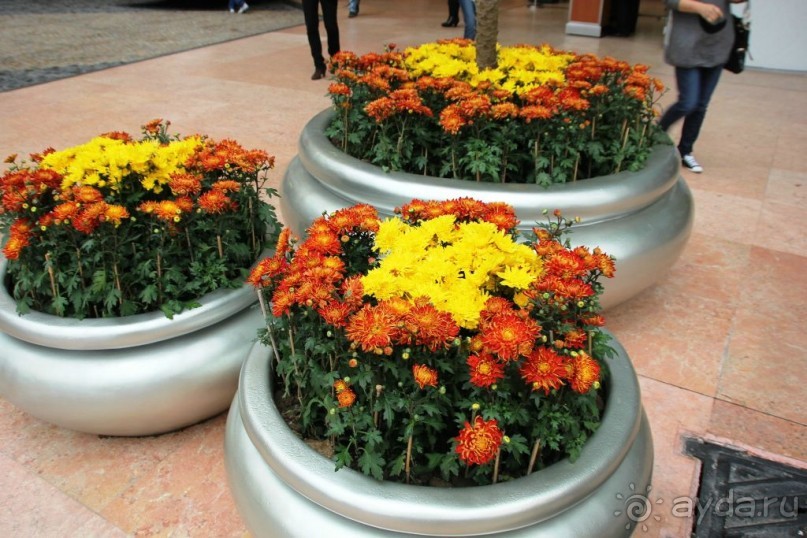 Гонконг-Макао-Гонконг. Часть третья.