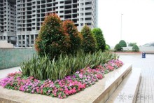 Гонконг-Макао-Гонконг. Часть третья.