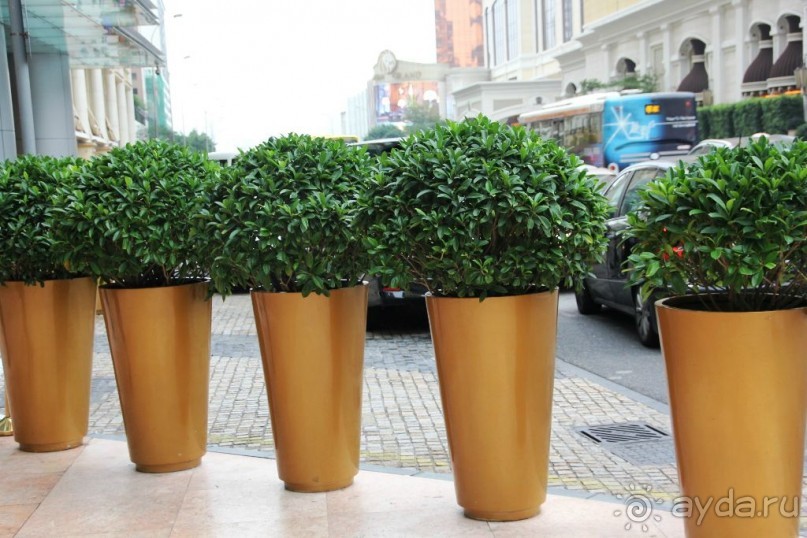 Гонконг-Макао-Гонконг. Часть третья.