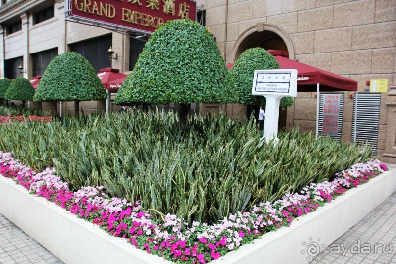 Гонконг-Макао-Гонконг. Часть третья.