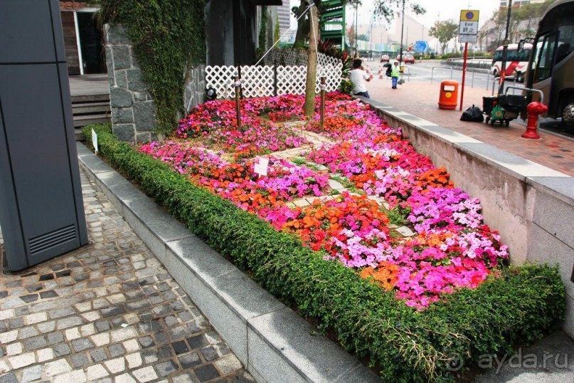 Гонконг. Макао. Остров Хайнань. Филиппины (остров Минданао).