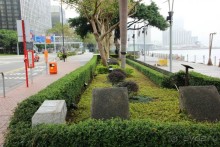 Гонконг. Макао. Остров Хайнань. Филиппины (остров Минданао).