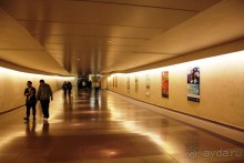 Гонконг. Макао. Остров Хайнань. Филиппины (остров Минданао).