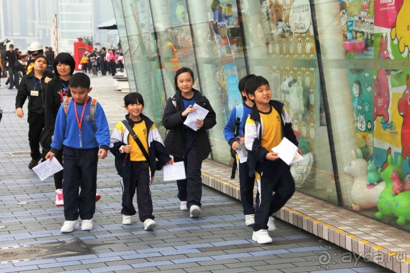 Гонконг. Макао. Остров Хайнань. Филиппины (остров Минданао).