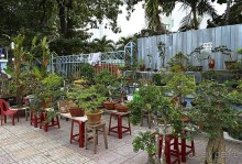 НЯЧАНГ НОВОГОДНИЙ !