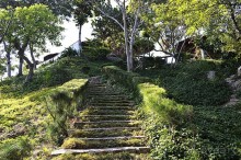 НЯЧАНГ НОВОГОДНИЙ !