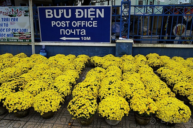 НЯЧАНГ НОВОГОДНИЙ !