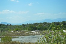 НЯЧАНГ НОВОГОДНИЙ !