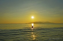 НЯЧАНГ НОВОГОДНИЙ !