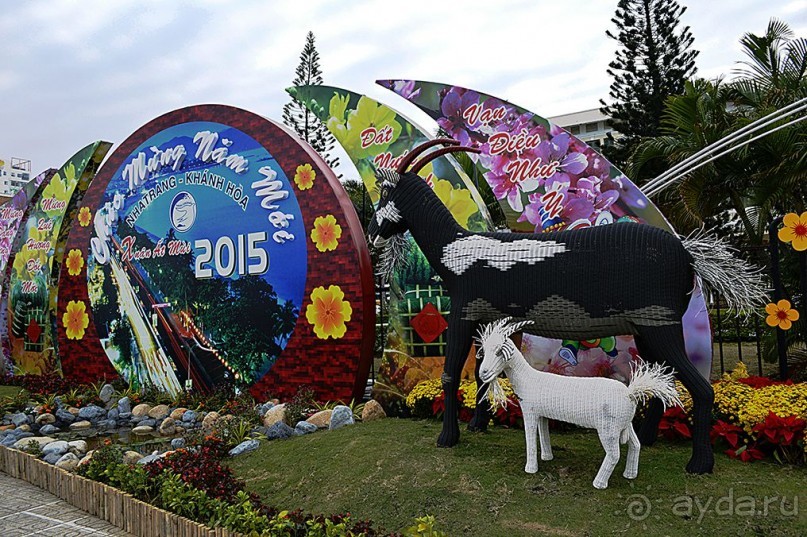 НЯЧАНГ НОВОГОДНИЙ !