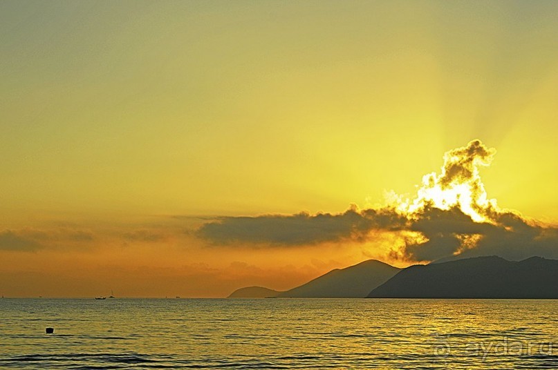 НЯЧАНГ НОВОГОДНИЙ !