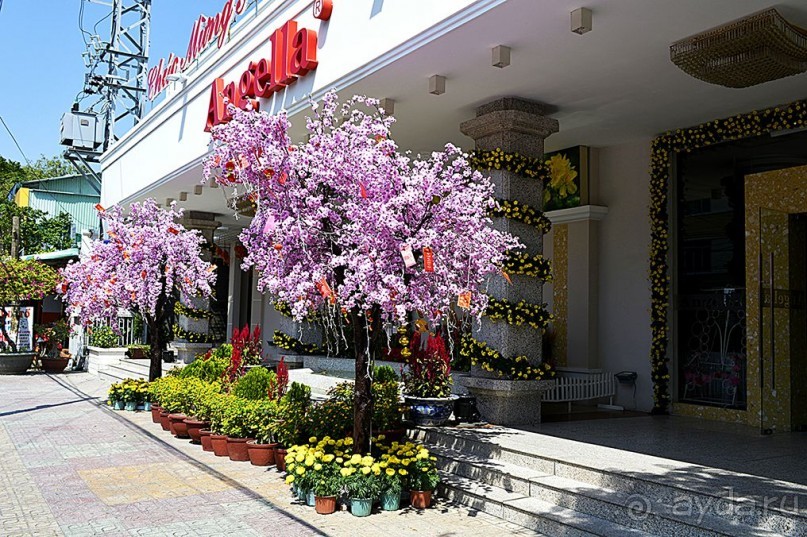 НЯЧАНГ НОВОГОДНИЙ !